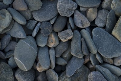 rocky shore.tif