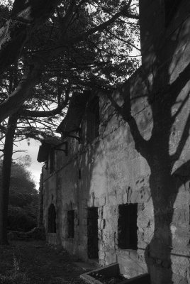 deep shadow-bw.tif