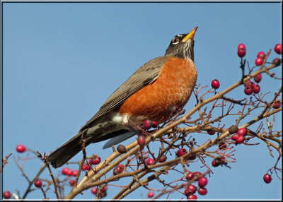 Spring..........not quite