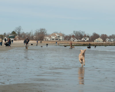 DSC_5136.jpg