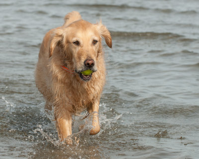DSC_5224.jpg