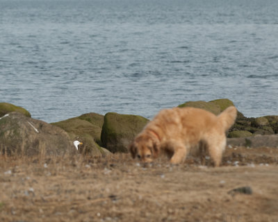 DSC_5408.jpg