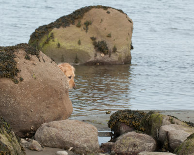 DSC_5494.jpg