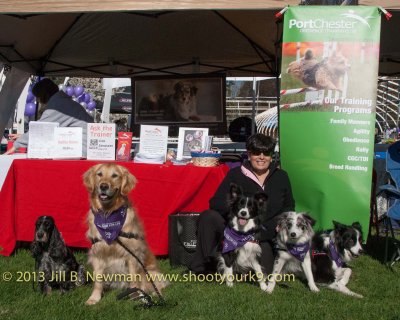 2013_bark_for_life_westchester