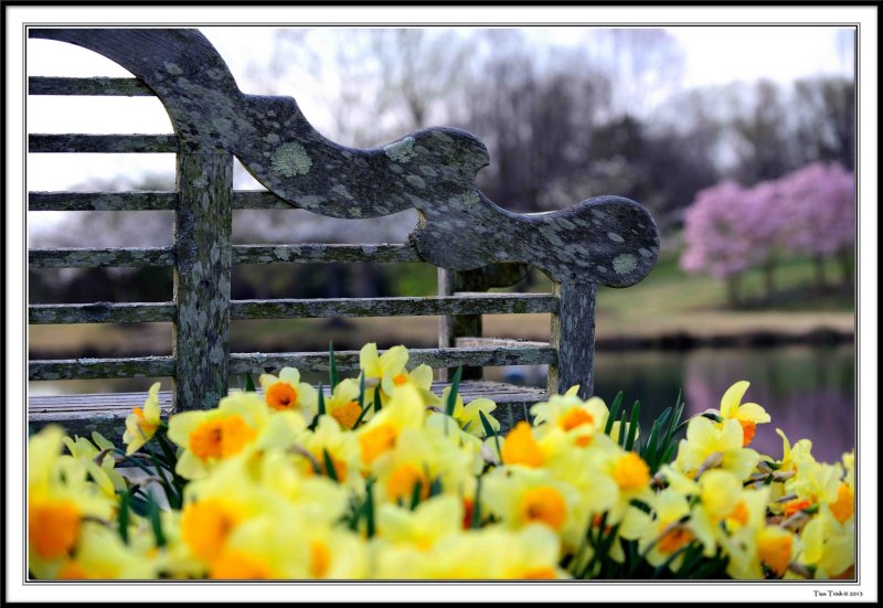 DSC_1364_13-04-10_137.jpg