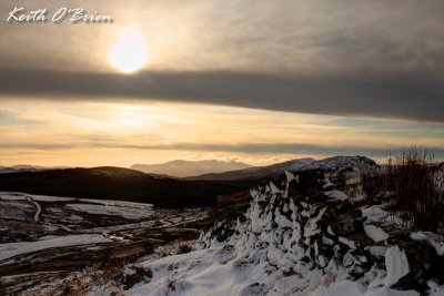 IMG_7763F.jpg