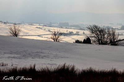 IMG_4166F.jpg