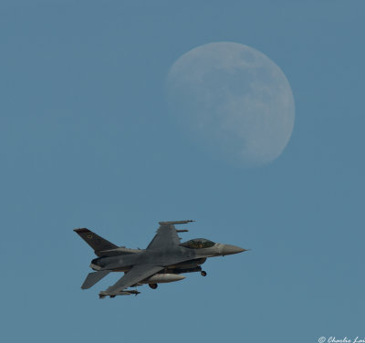 D4B_5675.jpg