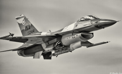 D4B_7160.jpg