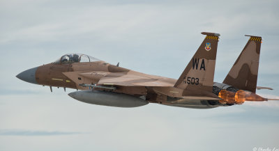 D4B_7287.jpg