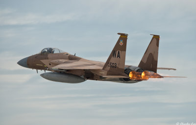 D4B_7290.jpg