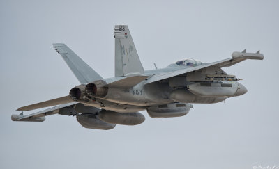 D4B_7529.jpg