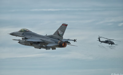 D4B_8529.jpg