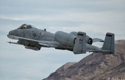 D4B_8752.jpg