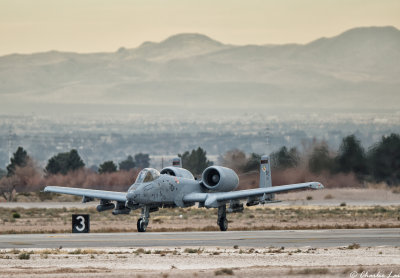 D4B_8753.jpg