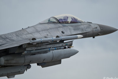 D4B_8856.jpg
