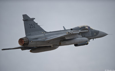 D4B_8949.jpg