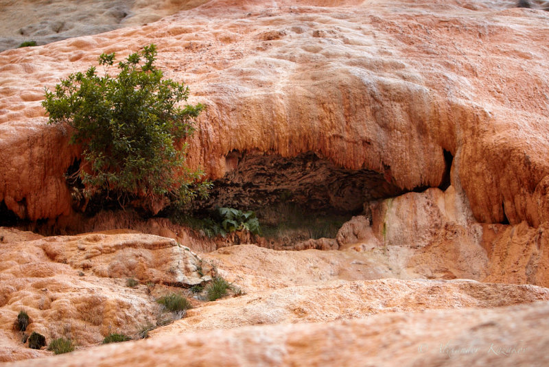 GEO_MG_6727.jpg