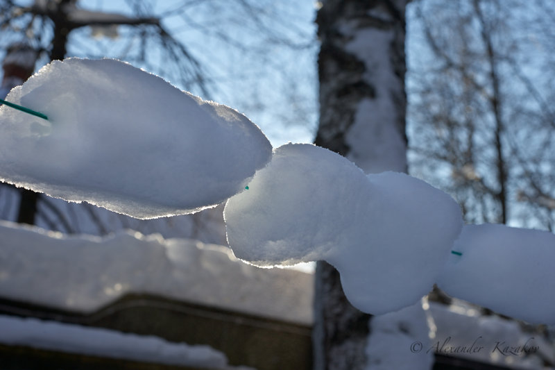 RUSARS_2BR0574.jpg