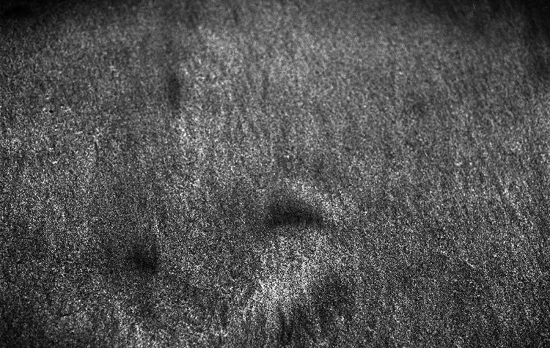 Permanent Shadows