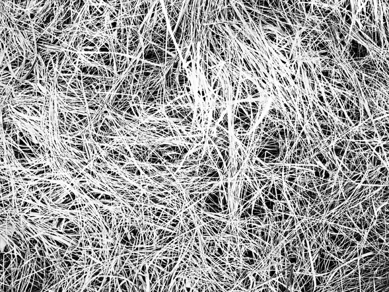 Sticks/Stones