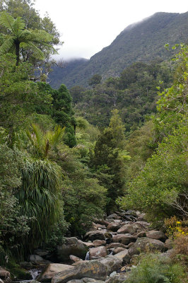 Manaroa Stream