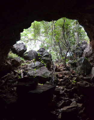 lava tube entrance and vine-thicket