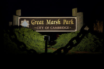 Great Marsh Park