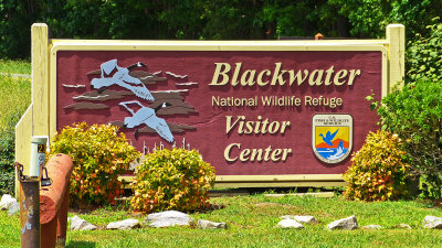 Blackwater NWR