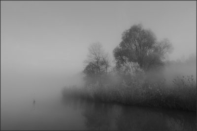 monochrome mist