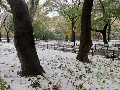 November 8, 2012 Photo Shoot - Snow Scenes at WSP, WSV Sasaki Garden, LaGuardia Place, etc.