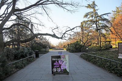 December 6, 2012 - Brooklyn Botanic Garden