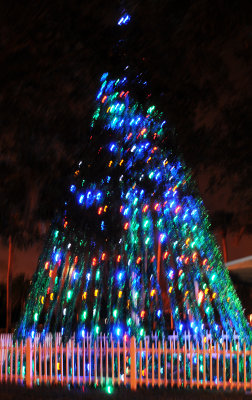 December 13, 2012 Photo Shoot - Dunedin, Clearwater, St. Peterburg, Tampa Area