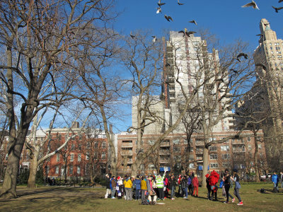 Pigeons Flocking Over a Winter Day Celebration