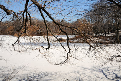 January 27, 2013 Photo Shoot - Snow in Central Park 