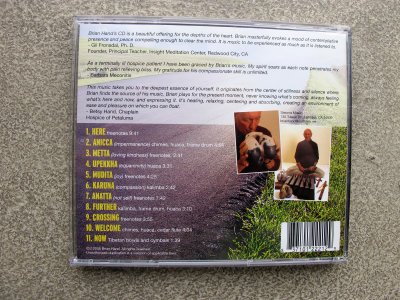Yield to the Present Back Cover CD - Brian Hand Music