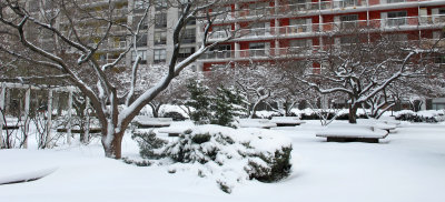 WSV Sasaki Garden after a Snow Fall  