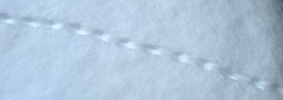 Drithting Snow over Squirrel Tracks