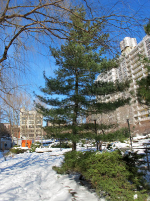 February 10, 2013 Photo Shoot - Snow & Sunshine in Washington Square Village Area - Greenwich Village NYC
