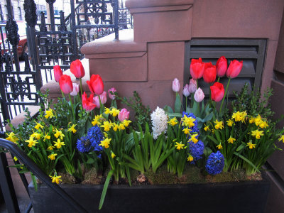 Spring Flower Box at Blue Hill Restaurant