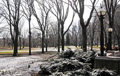 March 17, 2013 - Winter Central Park