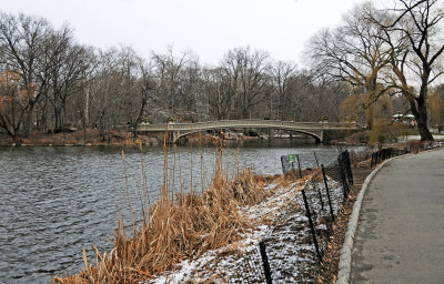 DSC_0954.JPG