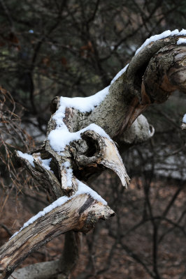 DSC_1024.JPG