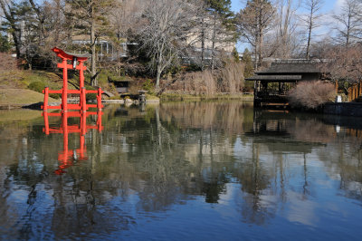 Early Spring Day - Japanese Pond & Garden