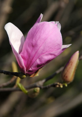 DSC_1658.JPG