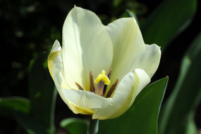 DSC_1685.JPG