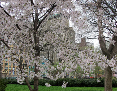 April 11, 2013 Photo Shoot - Gramercy Park, Union Square, Washington Square, Greenwich Village