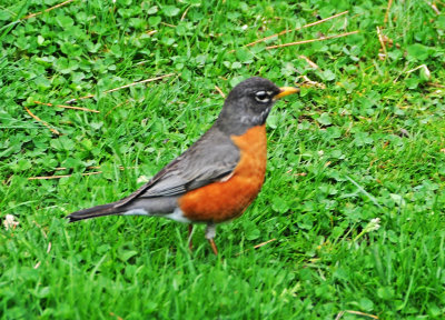 DSC_1964.JPG