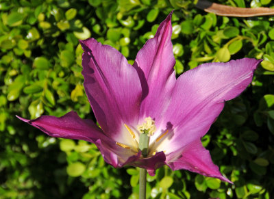 DSC_2113.JPG