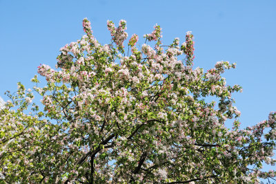 DSC_2132.JPG